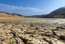 Ο-δείκτης-ξηρασίας-στην-Ελλάδα-–-Σε-ποιες-περιοχές-είναι-εντονότερο-το-φαινόμενο