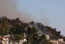 Κρατική-αρωγή:-Μέχρι-12-Οκτωβρίου-οι-αιτήσεις-από-επιχειρήσεις-της-Χαλκιδικής-που-επλήγησαν-από-την-πυρκαγιά