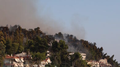 Κρατική-αρωγή:-Μέχρι-12-Οκτωβρίου-οι-αιτήσεις-από-επιχειρήσεις-της-Χαλκιδικής-που-επλήγησαν-από-την-πυρκαγιά