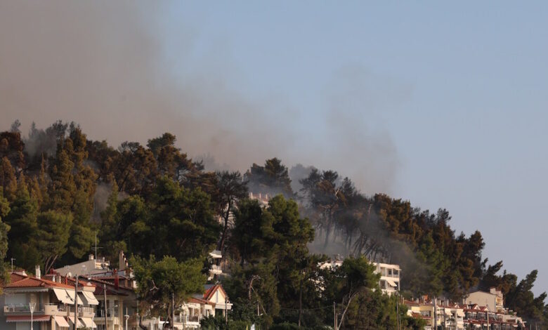 Κρατική-αρωγή:-Μέχρι-12-Οκτωβρίου-οι-αιτήσεις-από-επιχειρήσεις-της-Χαλκιδικής-που-επλήγησαν-από-την-πυρκαγιά