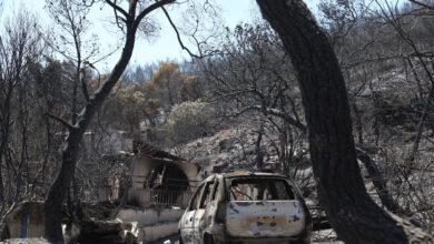 Φωτιά-στην-Σαλαμίνα:-Προσαγωγή-ύποπτης-για-εμπρησμό-–-Καταγγελίες-για-ακαθάριστα-οικόπεδα-και-«χωματερές»-στο-νησί