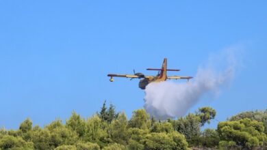 Χειροπέδες-σε-40χρονο-για-φωτιά-από-πρόθεση-στην-Τροιζήνα-–-Εξετάζεται-η-εμπλοκή-του-σε-άλλους-9-εμπρησμούς