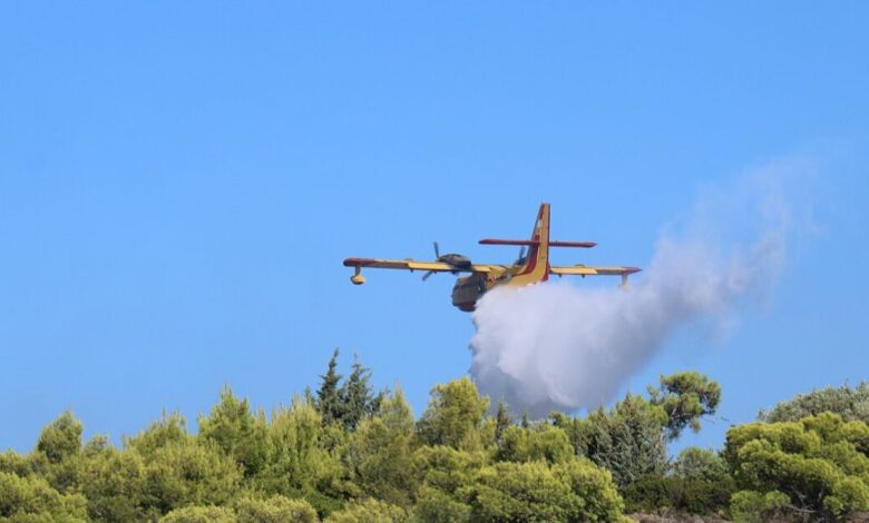 Χειροπέδες-σε-40χρονο-για-φωτιά-από-πρόθεση-στην-Τροιζήνα-–-Εξετάζεται-η-εμπλοκή-του-σε-άλλους-9-εμπρησμούς