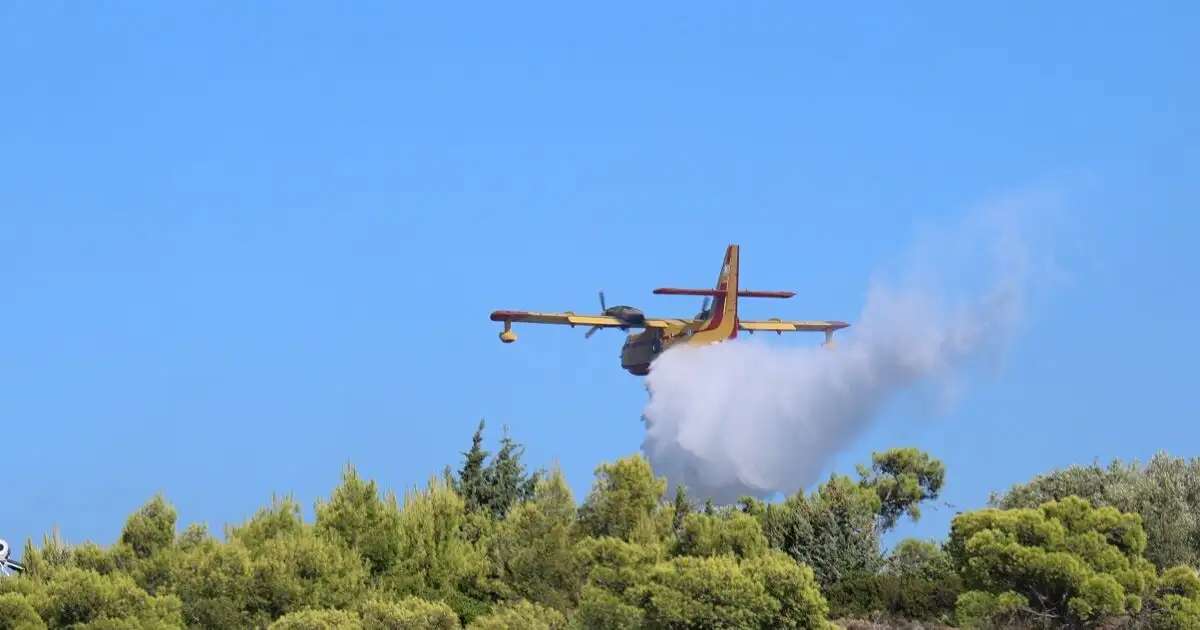 Χειροπέδες-σε-40χρονο-για-φωτιά-από-πρόθεση-στην-Τροιζήνα-–-Εξετάζεται-η-εμπλοκή-του-σε-άλλους-9-εμπρησμούς