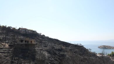 Σαλαμίνα:-Από-αμέλεια-ηλικιωμένης-η-φωτιά-στα-Περιστέρια,-μαρτυρία-για-εμπρησμό-για-την-πυρκαγιά-στα-Σελίνια