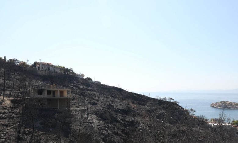 Σαλαμίνα:-Από-αμέλεια-ηλικιωμένης-η-φωτιά-στα-Περιστέρια,-μαρτυρία-για-εμπρησμό-για-την-πυρκαγιά-στα-Σελίνια