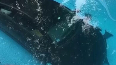 Μασαχουσέτη:-Αυτοκίνητο-«πάρκαρε»-σε-πισίνα-σπιτιού-–-Δείτε-βίντεο