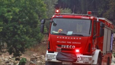 Επεσε-κεραυνός-σε-δέντρο-έξω-από-την-Ελάτη-–-Άμεση-η-επέμβαση-της-Πυροσβεστικής