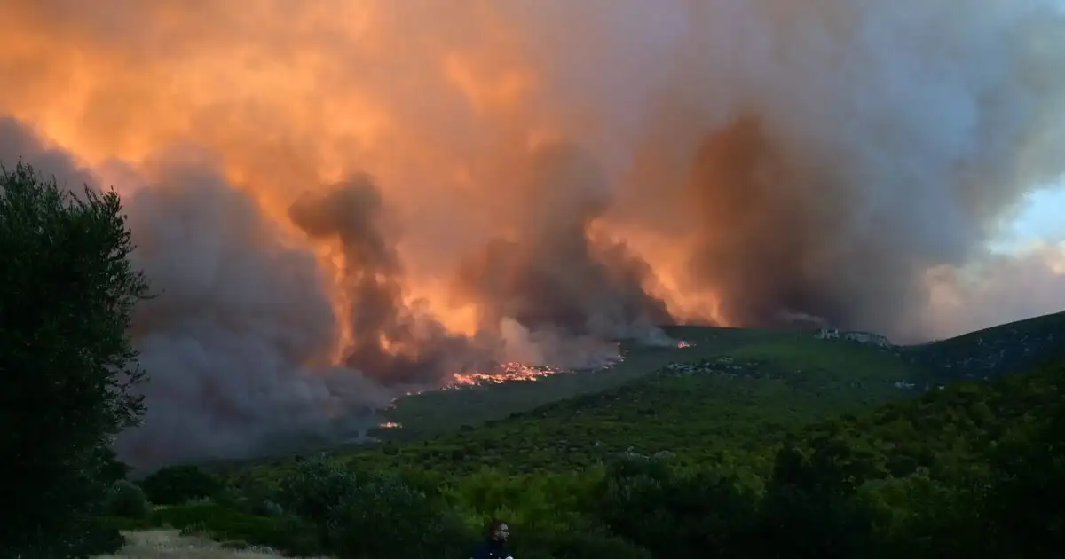 Φωτιά-σε-δάσος-στο-Κερασοχώρι-Αγράφων-–-Και-εναέρια-μέσα-στο-σημείο