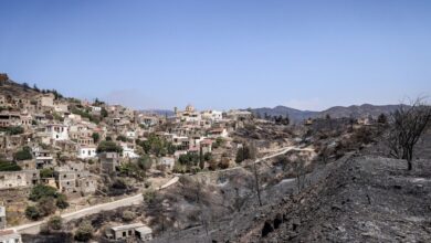 Χίος:-509.643-ευρώ-σε-59-επιχειρήσεις-για-τις-πυρκαγιές-του-2025