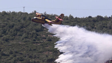 Φωτιά-στην-Κρεμαστή-Λακωνίας-–-Σηκώθηκαν-3-αεροπλάνα-και-ένα-ελικόπτερο