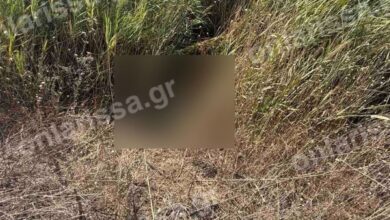 Λάρισα:-Νεκρή-εντοπίστηκε-η-72χρονη-που-είχε-χαθεί-από-τις-3-Αυγούστου-–-Την-βρήκαν-μέσα-σε-τάφρο-κοντά-στο-σπίτι-της