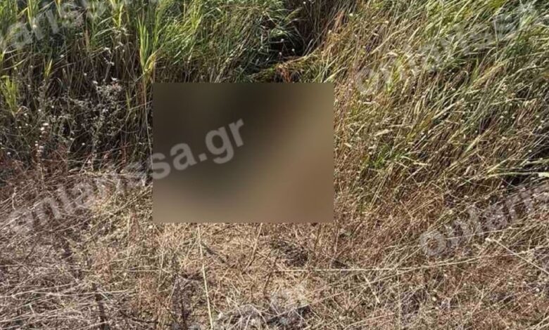 Λάρισα:-Νεκρή-εντοπίστηκε-η-72χρονη-που-είχε-χαθεί-από-τις-3-Αυγούστου-–-Την-βρήκαν-μέσα-σε-τάφρο-κοντά-στο-σπίτι-της