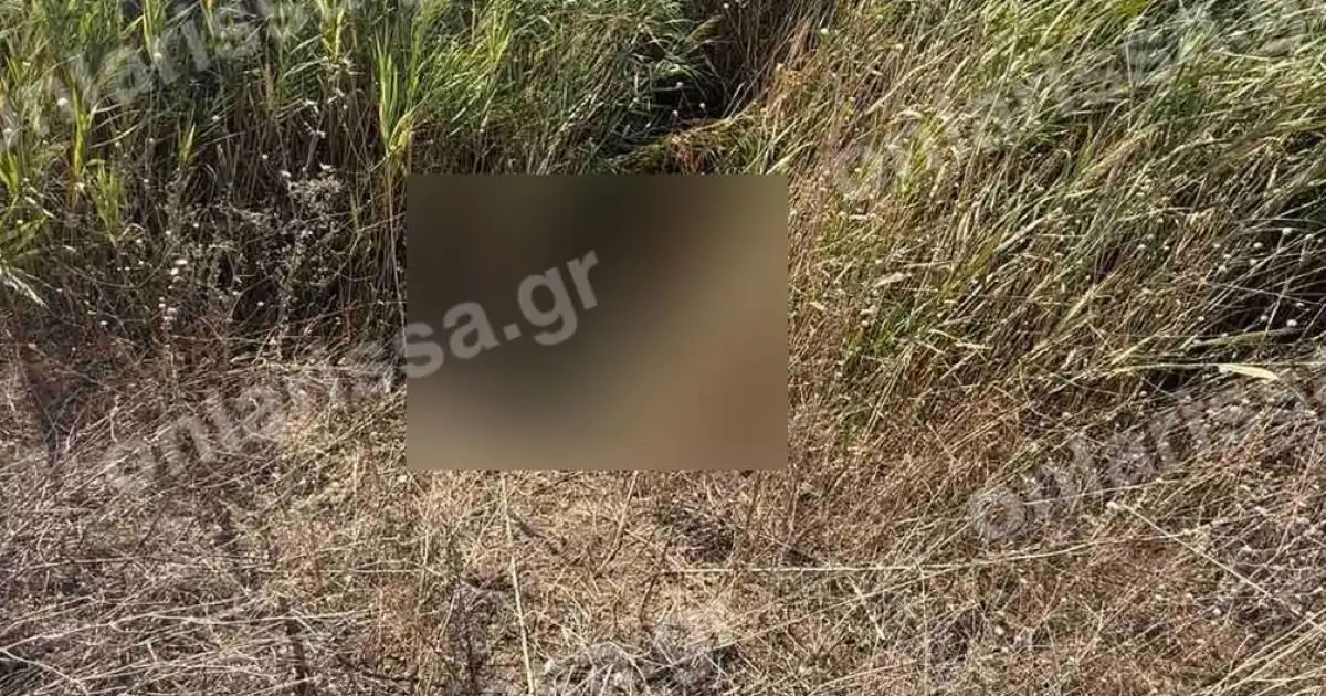 Λάρισα:-Νεκρή-εντοπίστηκε-η-72χρονη-που-είχε-χαθεί-από-τις-3-Αυγούστου-–-Την-βρήκαν-μέσα-σε-τάφρο-κοντά-στο-σπίτι-της