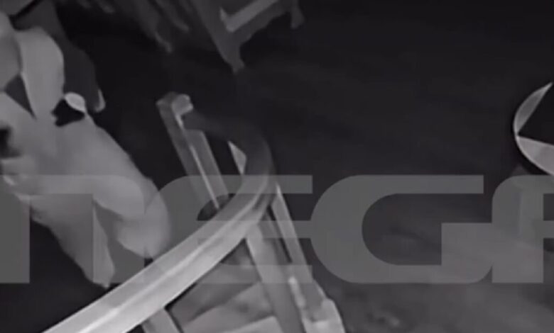 Νέα-Πεντέλη:-Η-στιγμή-που-διαρρήκτες-εισβάλλουν-σε-σπίτι-–-18χρονος-κλειδώθηκε-σε-δωμάτιο-για-να-γλυτώσει