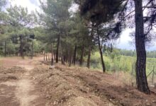 Τρίκαλα:-Απαγορεύεται-η-είσοδος-στα-δάση-το-Σάββατο