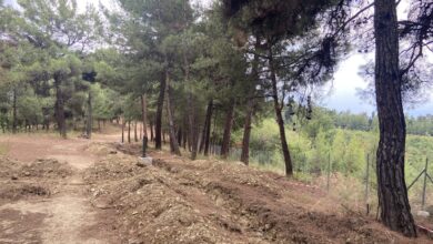 Τρίκαλα:-Απαγορεύεται-η-είσοδος-στα-δάση-το-Σάββατο