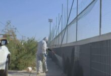Δύο-θάνατοι-(σε-Λάρισα-και-Καρδίτσα)-και-22-κρούσματα-του-ιού-Δυτικού-Νείλου-στη-Θεσσαλία