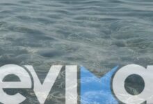 Σοκ-στην-Εύβοια:-Χιλιάδες-πόδια-από-κοτόπουλα-και-γαλοπούλες-ξεβράστηκαν-σε-παραλία