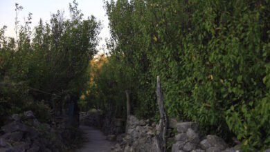 Τραγωδία-στα-Χανιά:-Νεκρή-από-τη-ζέστη-41χρονη-Γαλλίδα-πεζοπόρος-–-Κατέληξε-στο-ασθενοφόρο