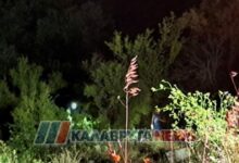 Τροχαίο-δυστύχημα-στην-Αχαία:-Νεκρή-46χρονη-που-έπεσε-σε-γκρεμό