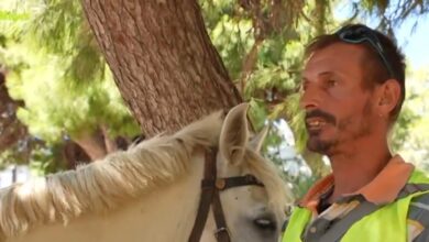 Έκοψαν-κλήση-700-ευρώ-σε-μεθυσμένο-αναβάτη-στην-Άνδρο
