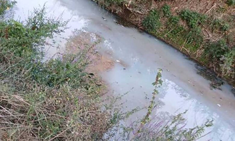 Τρίκαλα:-Καταγγελία-για-τυρόγαλο-στον-Ληθαίο