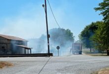Τρίκαλα:-Φωτιά-στην-είσοδο-του-Λόγγου-–-Αποφεύχθηκαν-τα-χειρότερα