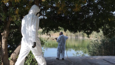 Ιός-του-Δυτικού-Νείλου:-Τα-περισσότερα-μολυσμένα-κουνούπια-έφεραν-την-έξαρση-των-κρουσμάτων