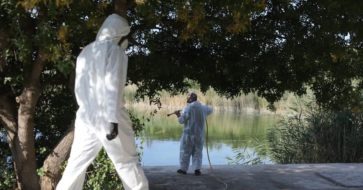 Ιός-του-Δυτικού-Νείλου:-Τα-περισσότερα-μολυσμένα-κουνούπια-έφεραν-την-έξαρση-των-κρουσμάτων