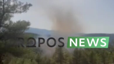 Φωτιά-στον-Ωρωπό-στην-περιοχή-Μαρκόπουλο:-Μηνύματα-του-112-–-Ρίψεις-νερού-από-6-εναέρια-μέσα