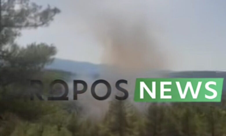 Φωτιά-στον-Ωρωπό-στην-περιοχή-Μαρκόπουλο:-Μηνύματα-του-112-–-Ρίψεις-νερού-από-6-εναέρια-μέσα