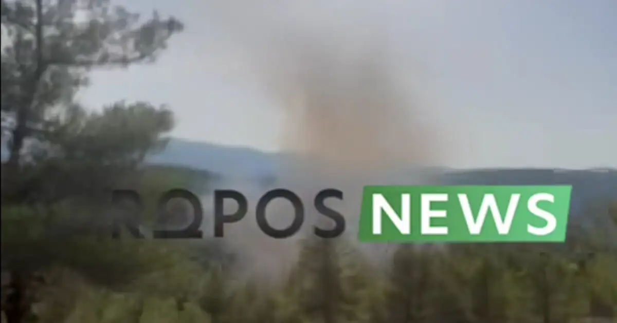 Φωτιά-στον-Ωρωπό-στην-περιοχή-Μαρκόπουλο:-Μηνύματα-του-112-–-Ρίψεις-νερού-από-4-εναέρια-μέσα