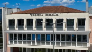 Νέες-άδειες-για-οινοποιήσιμα-αμπέλια-στη-Θεσσαλία-–-Πότε-ανοίγει-η-πλατφόρμα-για-τους-παραγωγούς