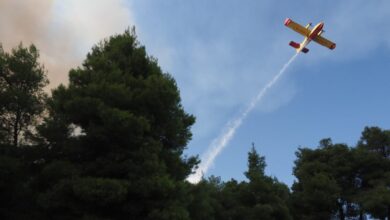 Φωτιά-σε-δασική-έκταση-στη-Φούρκα-Κόνιτσας:-3-εναέρια-επιχειρούν-στο-μέτωπο