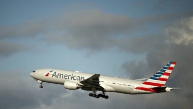 Χάος-σε-πτήση-της-american-airlines-με-γυναίκα-που-γδύθηκε-και-έκανε-άσεμνες-χειρονομίες-σε-επιβάτες-και-πλήρωμα-–-Βίντεο