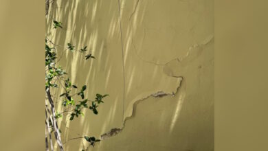 Ρωγμές-σε-κτίρια-στην-Κυψέλη:-Μέσα-στην-εβδομάδα-η-πραγματογνωμοσύνη-του-ΤΕΕ-–-«Δεν-υπάρχει-λόγος-εκκένωσης»-λέει-ο-Ταχιάος