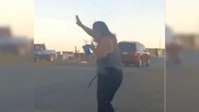 Μεξικό:-Μητέρα-δέχτηκε-πάνω-από-300-τσιμπήματα-μελισσών-και-πέθανε-–-Θυσιάστηκε-για-να-προστατεύσει-το-παιδί-της