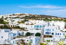 Το-18ο-Φεστιβάλ-Κυκλαδικής-Γαστρονομίας-«Νικόλαος-Τσελεμεντές»-στη-Σίφνο