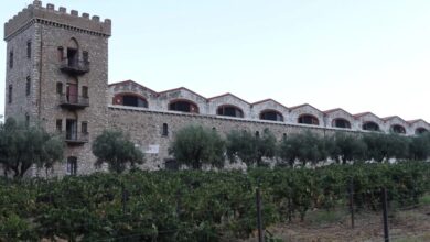achaia-clauss:-Άνοιξε-τις-πύλες-του-για-τον-«Ανοιχτό-Τρύγο»-14-ημέρες-μετά-την-φωτιά-–-Το-άλογο-και-το-πρώτο-γλυκό-κρασί