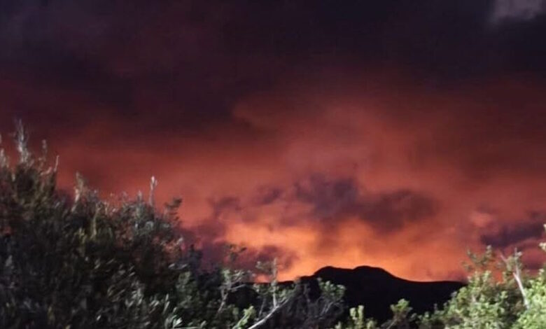 Φωτιά-στο-Λασίθι-στην-περιοχή-Χώνος:-Νέο-112-για-ετοιμότητα-σε-πέντε-χωριά-και-για-εκκένωση-στο-Καρύδι-–-Βίντεο
