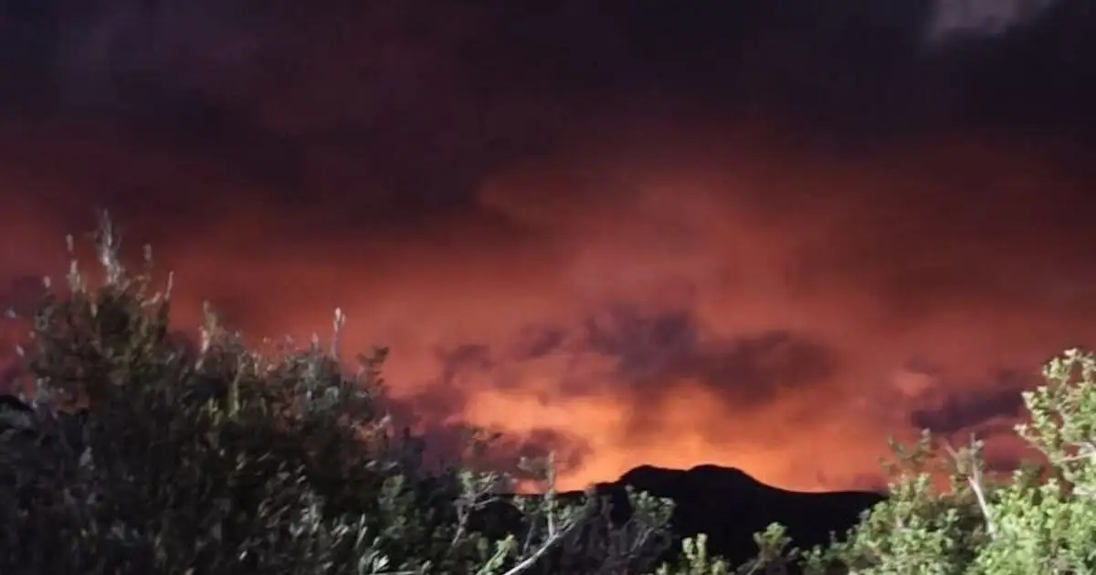 Φωτιά-στο-Λασίθι-στην-περιοχή-Χώνος:-Νέα-112-για-εκκένωση-προς-Ξερόκαμπο-και-Παλαίκαστρο-–-Βίντεο