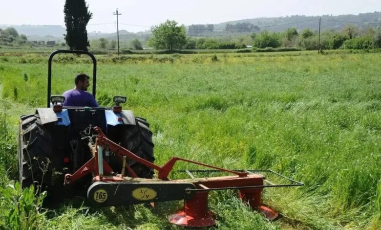Αγρότες:-Όσα-πρέπει-να-ξέρουν-για-την-Ενιαία-Αίτηση-Ενίσχυσης-–-30-ερωτήσεις-και-απαντήσεις