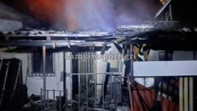 Τραγωδία-στη-Φθιώτιδα:-Νεκρή-32χρονη-μαζί-με-το-σκυλάκι-από-αναθυμιάσεις-μετά-από-φωτιά-στο-σπίτι-της