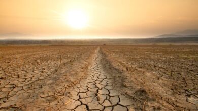 Σούπερ-Ελ-Νίνιο:-Εφιαλτική-πρόβλεψη-για-πάνω-από-450.000-θανάτους-τους-επόμενους-6-μήνες-–-Οι-10-χώρες-που-απειλούνται-περισσότερο