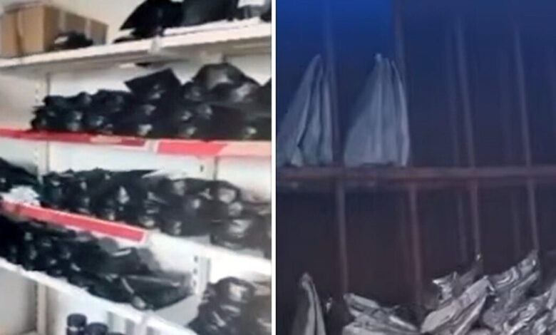 ΑΑΔΕ:-Αποκαλυπτικές-εικόνες-από-κύκλωμα-λαθρεμπορίου-καπνού-ναργιλέ
