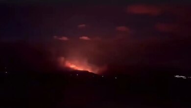 Φωτιά-στην-Λέσβο-στην-περιοχή-Καλλονή:-Μεγάλη-κινητοποίηση-της-Πυροσβεστικής