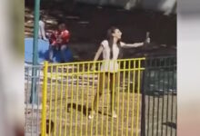 Άνω-Λιόσια:-Η-διευθύντρια-του-νηπιαγωγείου-που-ούρλιαζε-στα-παιδιά-κατάθεσε-μήνυση-σε-γονείς-–-Συνελήφθη-μητέρα,-αναζητείται-ο-σύζυγός-της