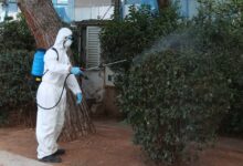 Ιός-του-Δυτικού-Νείλου:-Στο-επίκεντρο-η-Θεσσαλία-–-78-κρούσματα,-8-στον-Δήμο-Τρικκαίων
