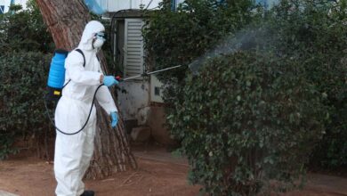 Ιός-του-Δυτικού-Νείλου:-Στο-επίκεντρο-η-Θεσσαλία-–-78-κρούσματα,-8-στον-Δήμο-Τρικκαίων